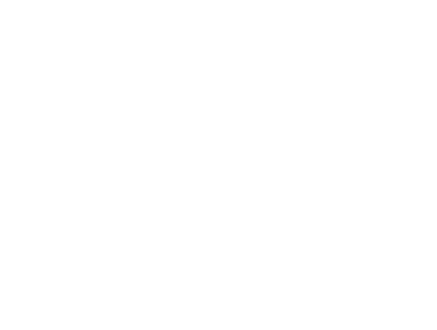 The Brand Mechanic